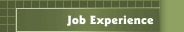 Job Experience